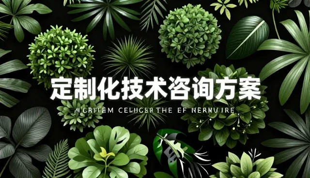 技术咨询方案中的性能提升关键检查环节